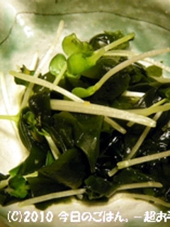 わかめとかいわれ大根のしょうがぽん酢-レシピのメイン写真