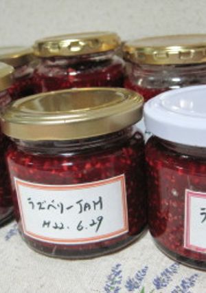 ラズベリージャム～冷凍を使って-レシピのメイン写真