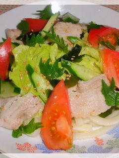 夏野菜たっぷり♪冷しゃぶうどん-レシピのメイン写真