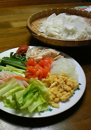 あっさり!サラダそうめん♪-レシピのメイン写真
