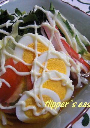 ごく普通のサラダうどん-レシピのメイン写真