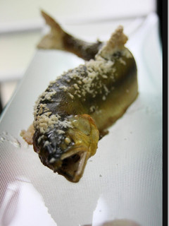 鰭塩 鮎塩焼-レシピのメイン写真