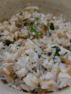 しょうがの佃煮を使った混ぜごはん-レシピのメイン写真