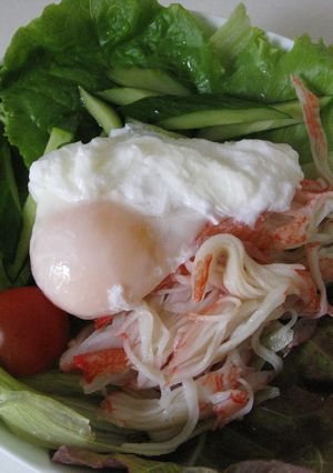 半熟玉子がのったサラダうどん♪-レシピのメイン写真
