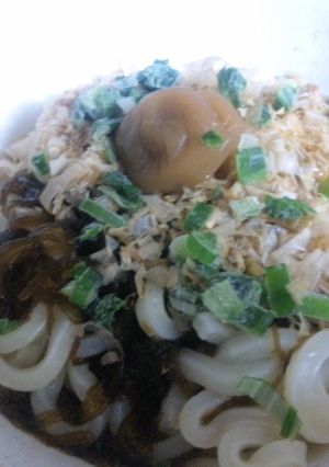 麺つゆ要らずの簡単☆スッパウマ冷凍うどん-レシピのメイン写真