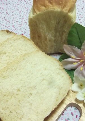 酒粕食パン-レシピのメイン写真