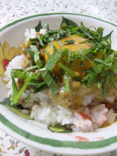【一人ご飯に】簡単&さっぱり☆納豆丼☆-レシピのメイン写真