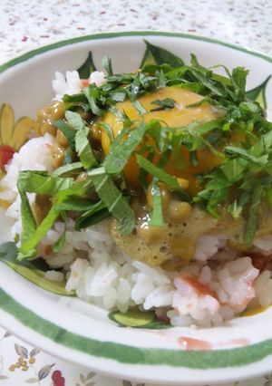 【一人ご飯に】簡単＆さっぱり☆納豆丼☆-レシピのメイン写真