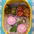 あさがお弁当【キャラ弁】