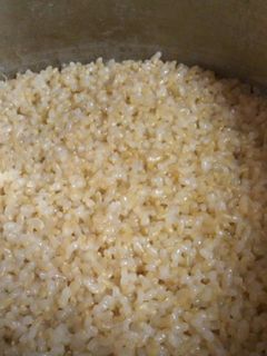 圧力鍋で炊くモチモチ玄米ご飯-レシピのメイン写真
