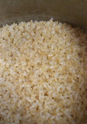 圧力鍋で炊くモチモチ玄米ご飯-レシピのメイン写真
