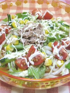 暑い日に☆野菜たっぷり サラダうどん-レシピのメイン写真