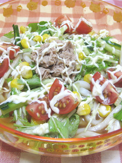 暑い日に☆野菜たっぷり サラダうどん-レシピのメイン写真
