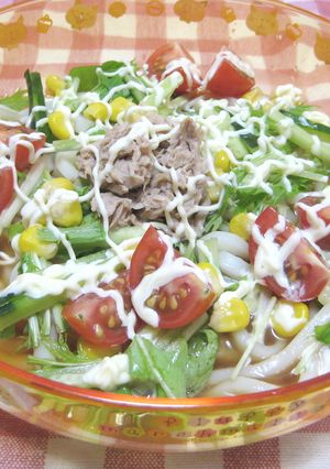 暑い日に☆野菜たっぷり　サラダうどん-レシピのメイン写真