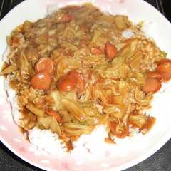 รูปของ １人分☆キャベツカレー