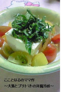大葉とプチトマトで洋風冷奴-レシピのメイン写真