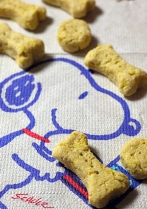 チワワ用♪おからクッキー-レシピのメイン写真