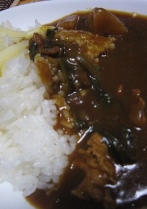 こってりまろやか♪豚肉×ほうれん草カレー-レシピのメイン写真