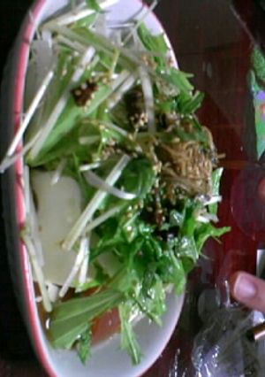 水菜とじゃこの冷や奴-レシピのメイン写真