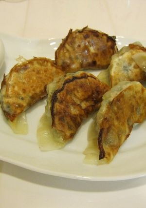 しょうがたっぷり焼きぎょうざ-レシピのメイン写真