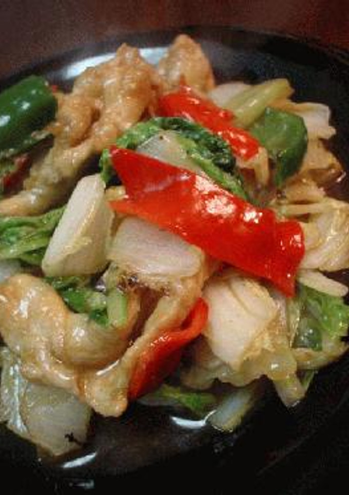 鶏肉と白菜の中華風炒め-レシピのメイン写真