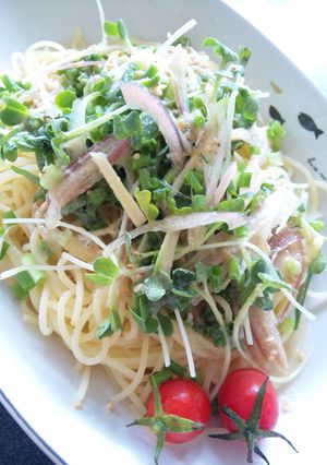 薬味とスゴだれの冷製パスタ-レシピのメイン写真