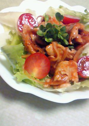 豚薄切り肉のソースマリネ☆☆☆-レシピのメイン写真
