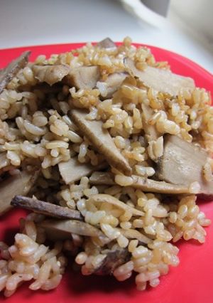 ゴボウ一本まるごと使いの甘い炊き込みご飯-レシピのメイン写真