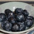冷たい美味しい!ブルーベリーシャーベット