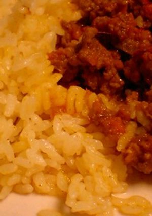 手作りインド風カレー-レシピのメイン写真