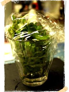 大葉の長持ち保存方法-レシピのメイン写真