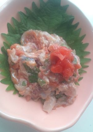 鯵の梅たたき-レシピのメイン写真
