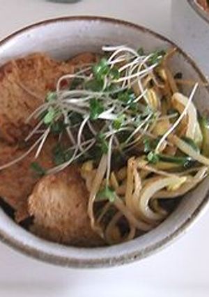 畑のお肉でビビンバ-レシピのメイン写真