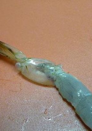 気持ちイイ～!!エビのしっぽの殻むき♪-レシピのメイン写真