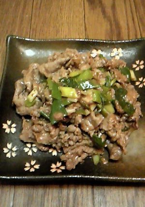 九条ねぎと牛肉のオイスターソース炒め-レシピのメイン写真