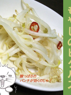 もやしのピクルス-レシピのメイン写真