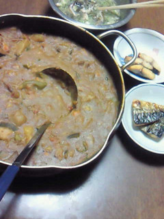 夏野菜母のカレー-レシピのメイン写真