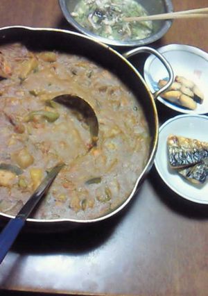 夏野菜母のカレー-レシピのメイン写真