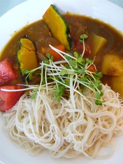 夏にツルン♪そーめんカレー☆★-レシピのメイン写真