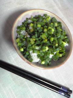 ねぎごはん☆-レシピのメイン写真