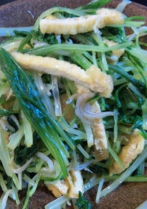 水菜のからしポン酢合え-レシピのメイン写真