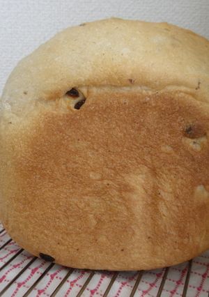 HBでレーズン米パン（米粉不使用）-レシピのメイン写真