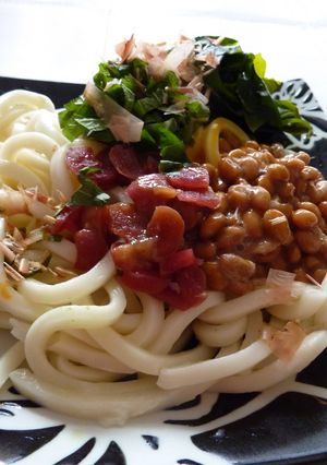 冷やしうどん☆２種の味わい-レシピのメイン写真