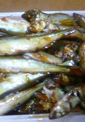 小鮎の甘露煮-レシピのメイン写真
