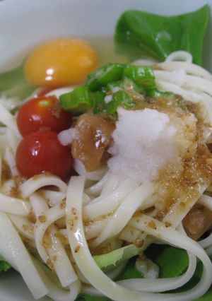 さっぱり夏うどん-レシピのメイン写真