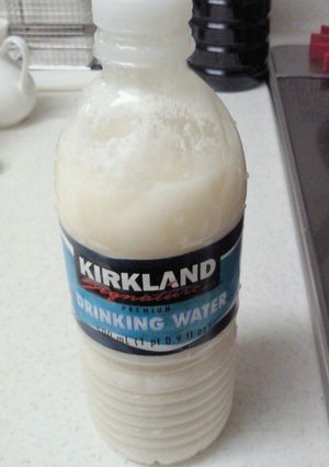 ペットボトルで酒粕酵母-レシピのメイン写真