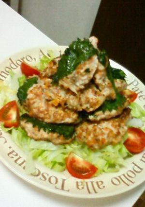 野菜もしっかり　鯖バーグ！-レシピのメイン写真