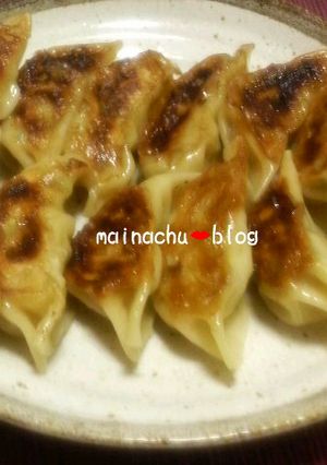ヘルシー☆餃子ちゃん-レシピのメイン写真