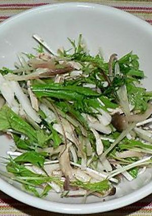 鶏むね肉と水菜、長芋のサラダ-レシピのメイン写真