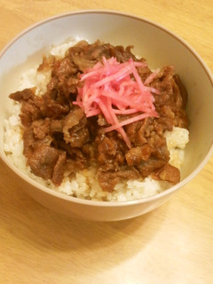 ☆簡単な牛丼♪豚丼♪☆-レシピのメイン写真